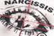 T-Shirt "NARCISSIST", Black, M
